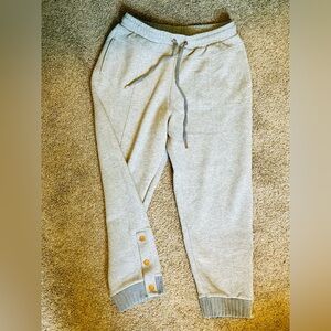 Cropped Jogger Sweatpants: Gray Saturday Sunday Size M from Anthropologie